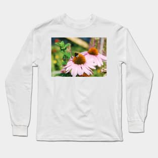 Echinacea Purpurea with Bee Long Sleeve T-Shirt